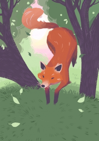 14_RAPOSA melhorada.jpg