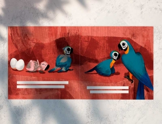 Macaw's life cycle