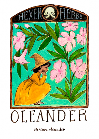 HexenHerbs_oleander.png