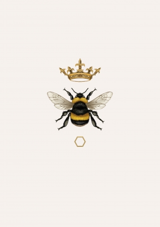 Queen Bee