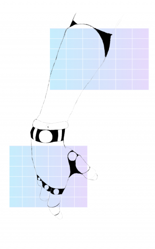 Elements of Product.png