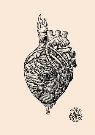 love is the law-01