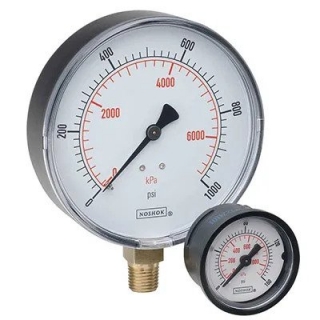100 Series ABS & Steel Case Dry Pressure Gauges