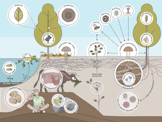 Dr.Fun Guy´s Passport to Passport Fungi, Ten Speed Press, 2025