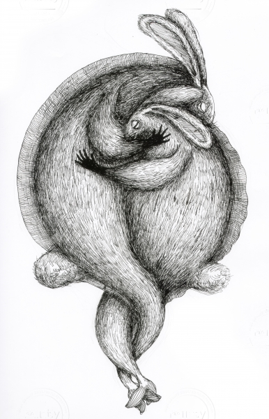 Bunny hug