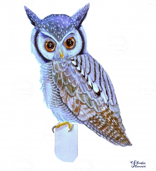 Blue owl 