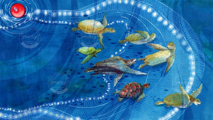  Endangered species -  Dancing sea turtles