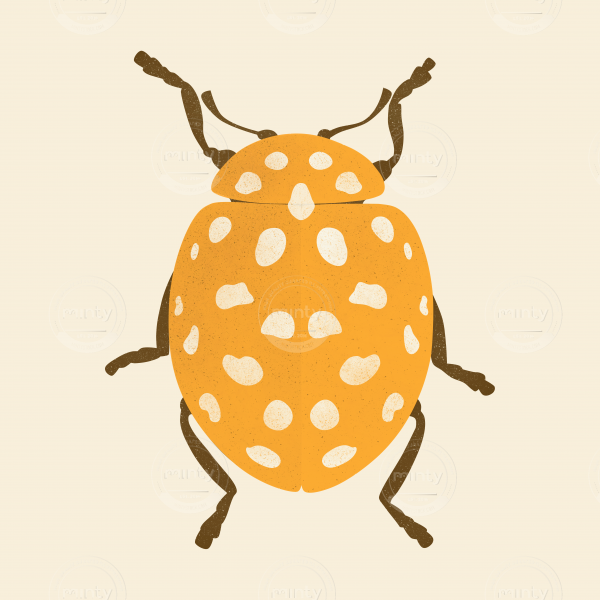 Yellow bug with white dots