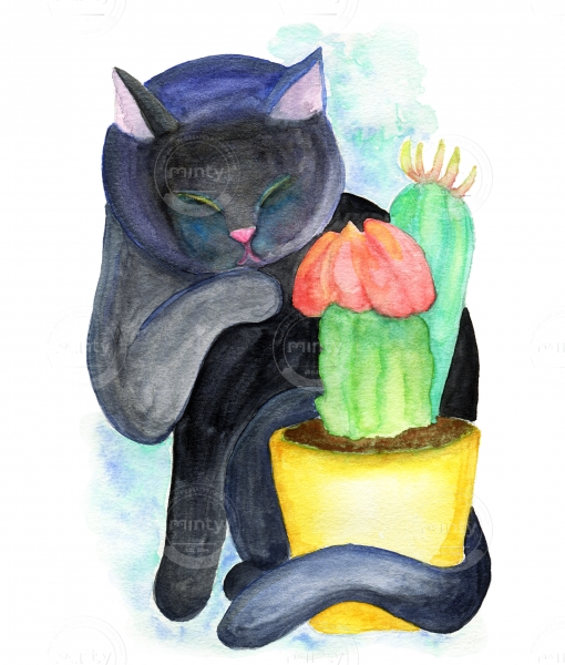 Black cat and cactus