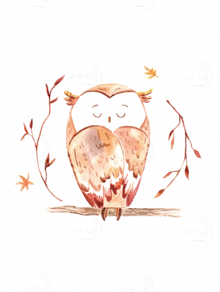 Sleeping owl