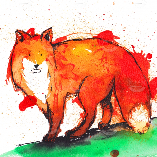 fox