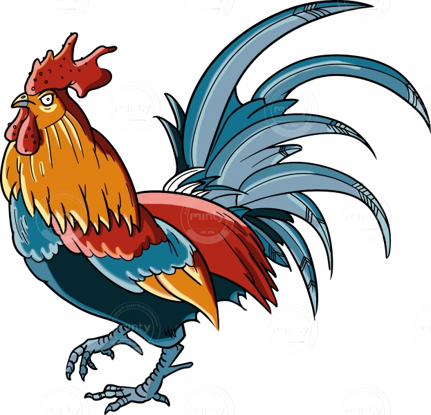 Rooster