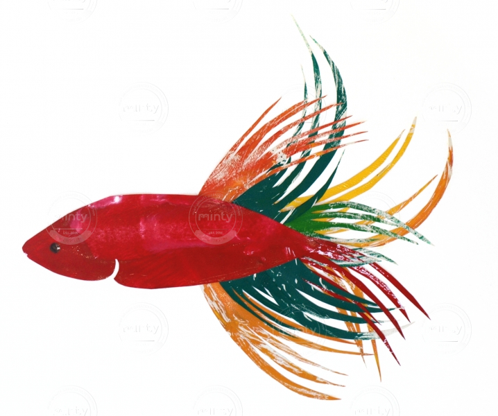 Red Goldfish