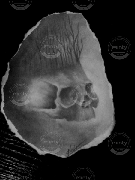 10414586_10202269276396853_235533065518715003_n