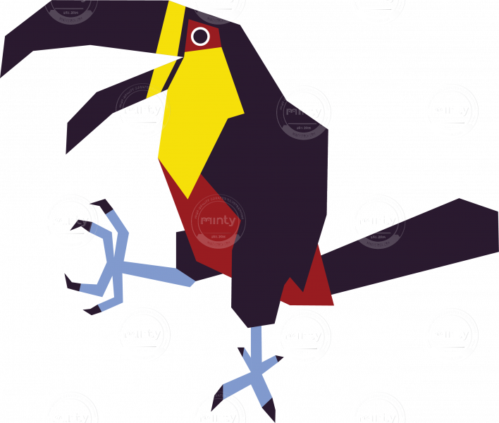 Dancing toucan