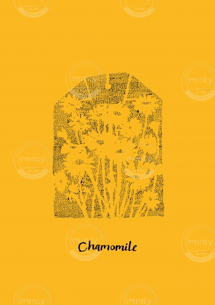 chamomile