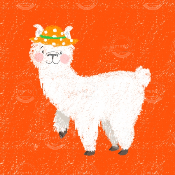 llamaCOLOUR