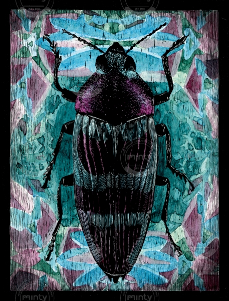 Coleoptera 03