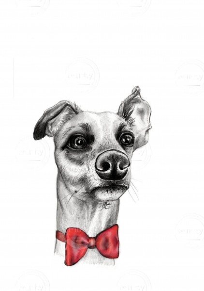 Doggy Red Bow Tie