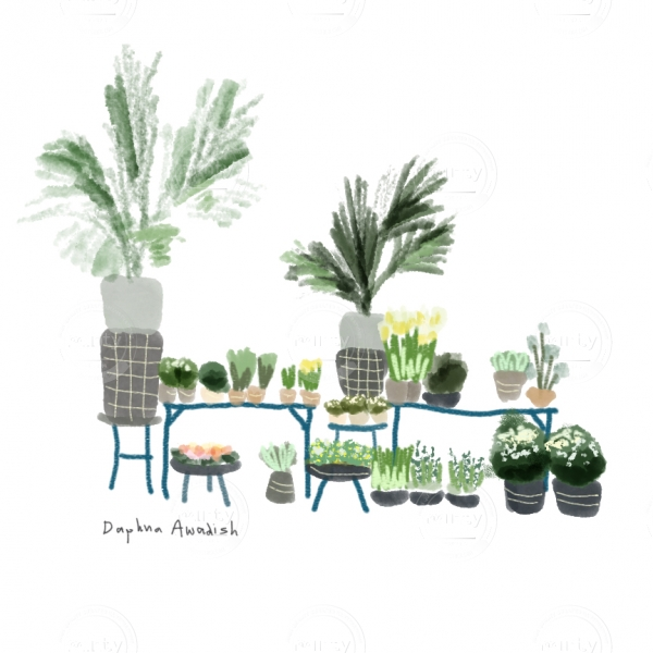 plant shop