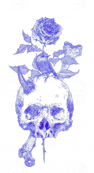 Skull and bird