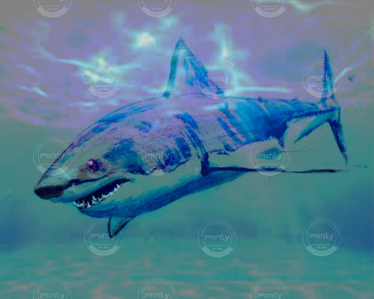 shark_by_aldrichadam-dc2qd1k