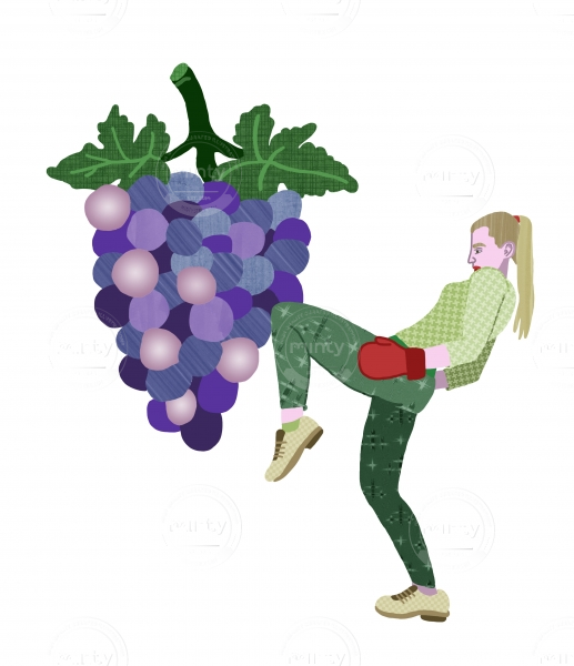 GrapeBoxer