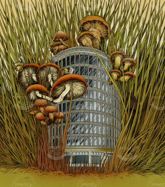 Screen Shot 2018-05-14 at 11.18.20