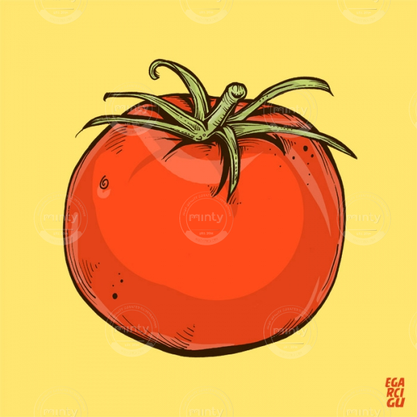 tomato