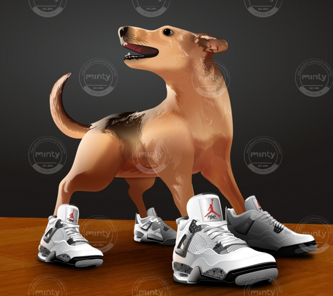 General-Illustration-Doggy-shoes