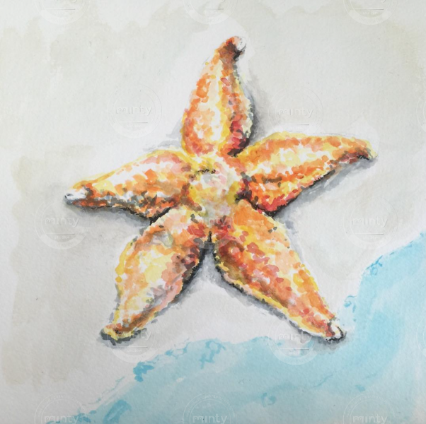 Screen Shot 2018-02-07 at 6.56.12 PM