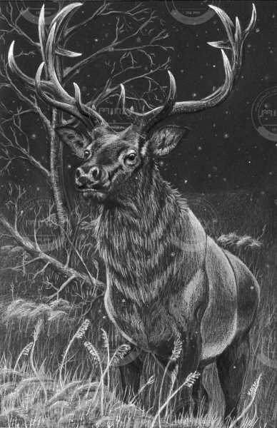 ipscan-internat@truni.sk_20180420_155433-page-0012