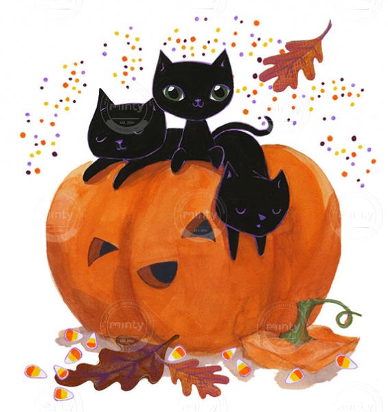 3catpumpkinweb