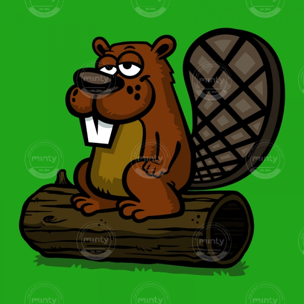 beaver
