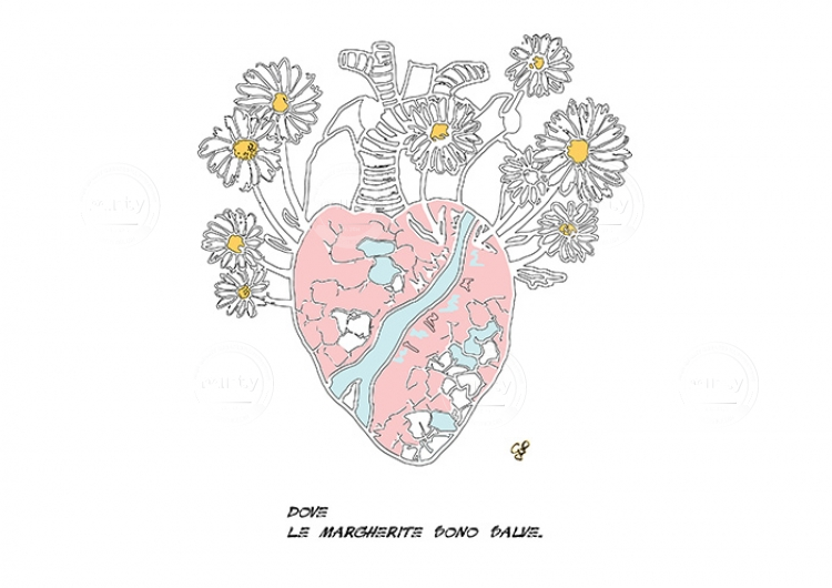 cuore-margherite2-02