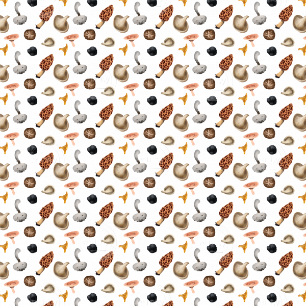 Mushroom-Pattern_1