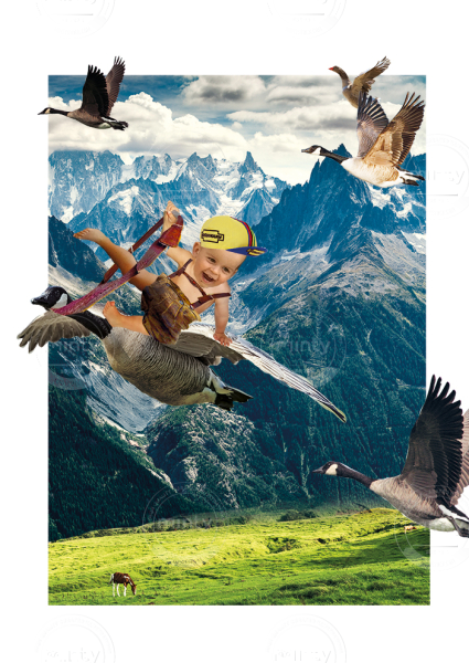 AnnePetersen_poster_cutout_flight