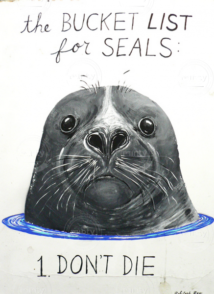 theBUCKETlistFORseals