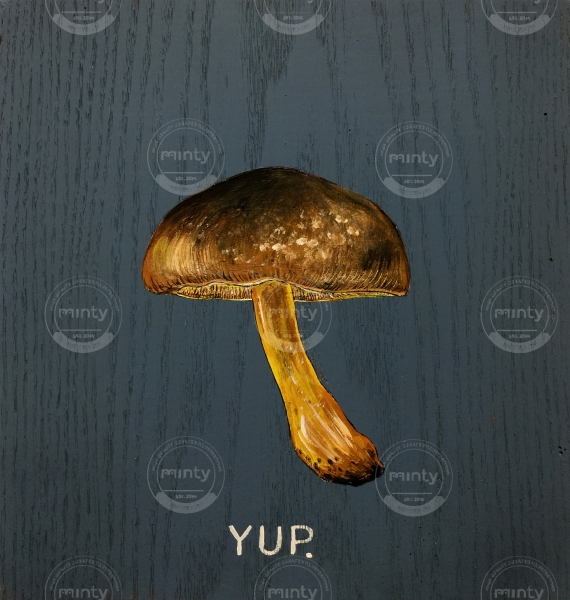 RAO_mushrooms_yup