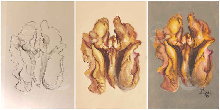 Walnuts (Nuts-n-Bolts)