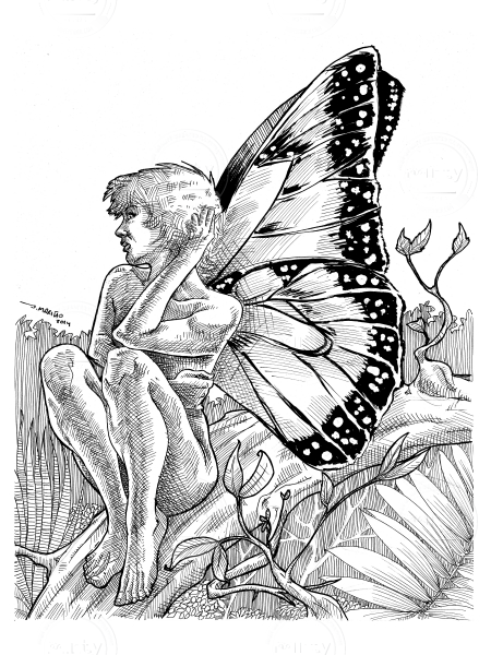 mariposa