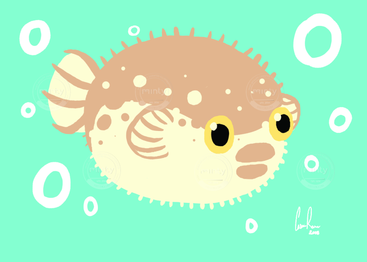 puffer fish