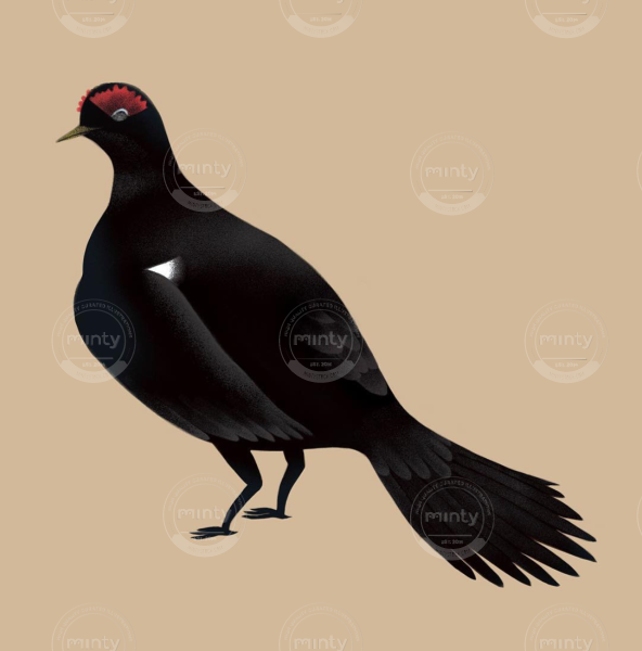 Снимок экрана 2018-09-17 в 23.05.15