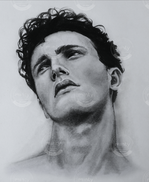 Screen Shot 2018-12-20 at 9.48.52 AM