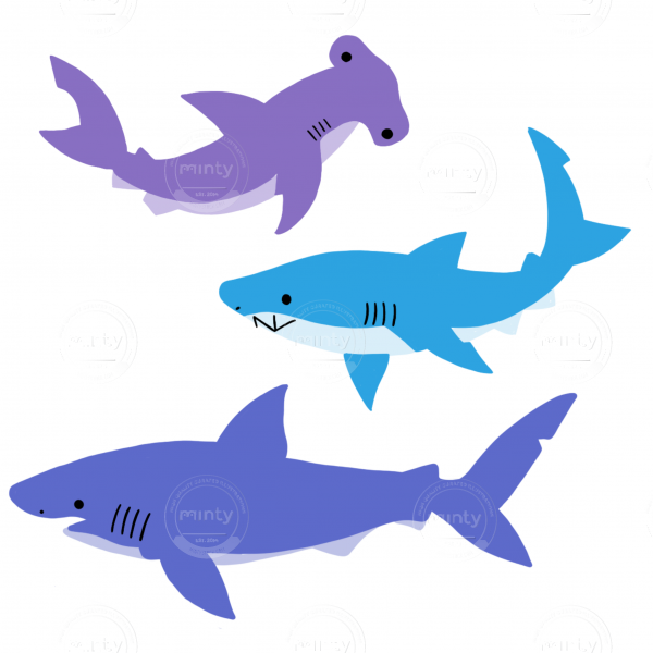 Sharks 