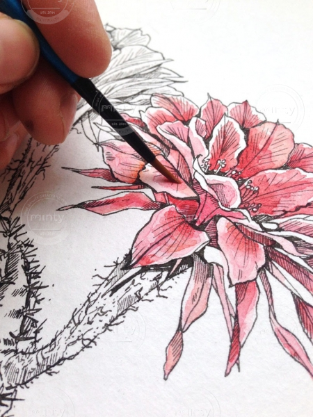 cactuspink_detail_2_bigger