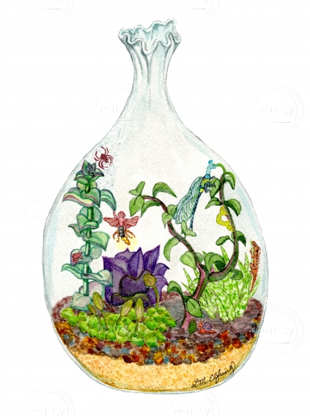 Terrarium in a glass vase with succulents, spider, lizard, frog, inchworm, and two insect fairies. 