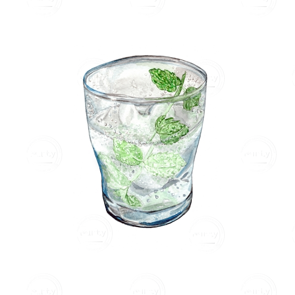 A glass with a bubbly drink with ice and a stalk of mint leaves.