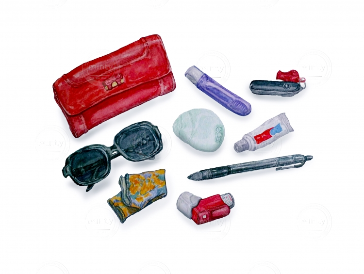 Purse objects