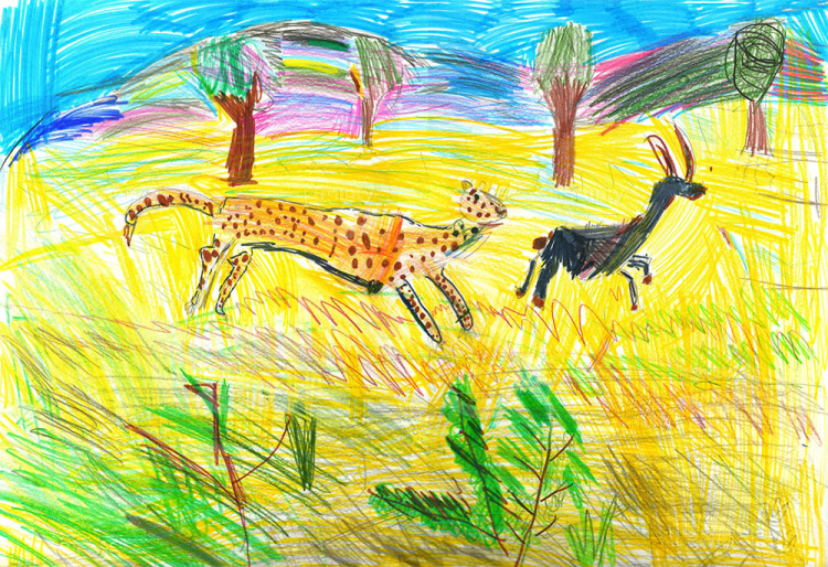 Саванна. Гепард гонится за козой-мини